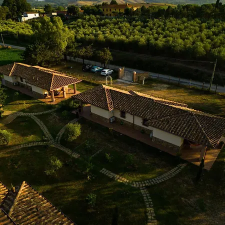 Anfora Della * Massa Marittima
