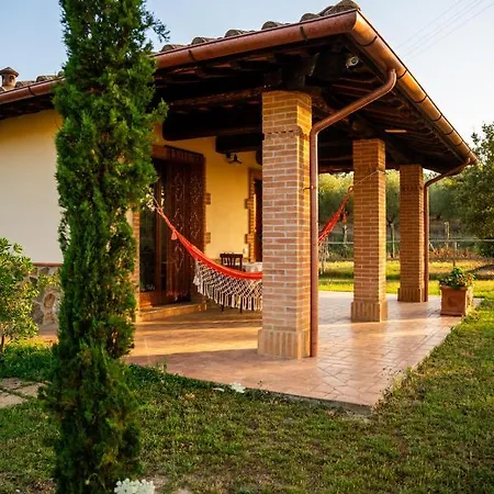 Anfora Della * Massa Marittima