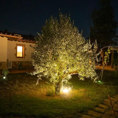 Anfora Della Apartment Massa Marittima
