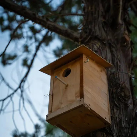 Anfora Della Lägenhet *