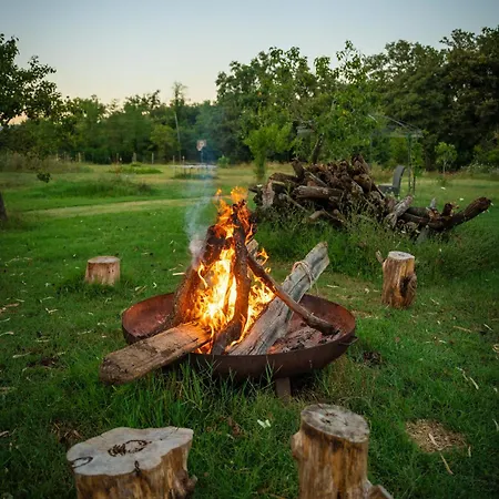 Anfora Della Massa Marittima