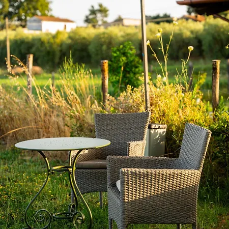 Lägenhet Anfora Della *