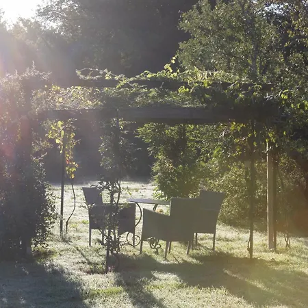 Anfora Della Massa Marittima