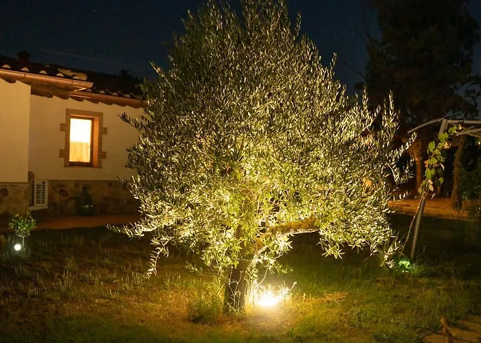 Anfora Della Lägenhet Massa Marittima